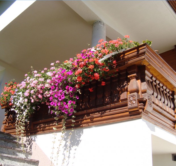 Blumenpracht auf unserem Balkon